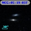 MCG+05-19-037
