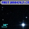 FIRST J080426.7+291015
