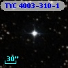 TYC 4003-310-1