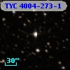 TYC 4004-273-1