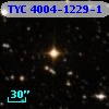 TYC 4004-1229-1