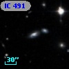 IC  491