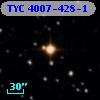 TYC 4007-428-1