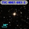 TYC 4007-603-1
