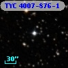 TYC 4007-876-1