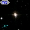 TYC 1931-1307-1