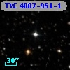 TYC 4007-981-1