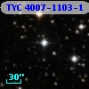 TYC 4007-1103-1