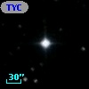 TYC 1931-1391-1