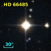 HD  66485