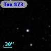 Ton  873