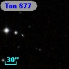 Ton  877