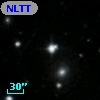 NLTT 19013