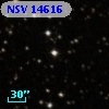 NSV 14616