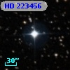 HD 223456