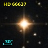 HD  66637