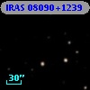IRAS 08090+1239
