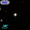 TYC  806-667-1