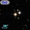 TYC  781-348-1