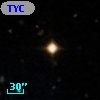 TYC  781-1333-1