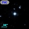 TYC  794-613-1