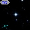 TYC  794-781-1