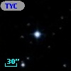 TYC  794-1042-1