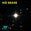 HD  66446