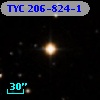 TYC  206-824-1