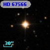 HD  67566