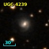 UGC  4239