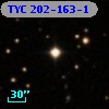 TYC  202-163-1