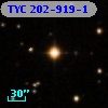 TYC  202-919-1