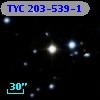 TYC  203-539-1