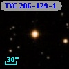 TYC  206-129-1