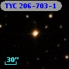 TYC  206-703-1
