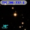 TYC  206-737-1