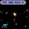 TYC  206-913-1