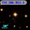 TYC  206-951-1