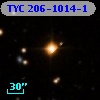 TYC  206-1014-1