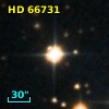HD  66731