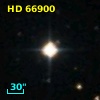 HD  66900