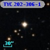 TYC  202-306-1