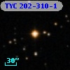 TYC  202-310-1