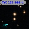 TYC  202-980-1