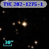 TYC  202-1275-1