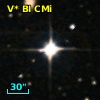 V* BI CMi