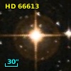 HD  66613