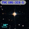 TYC  195-323-1