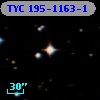 TYC  195-1163-1